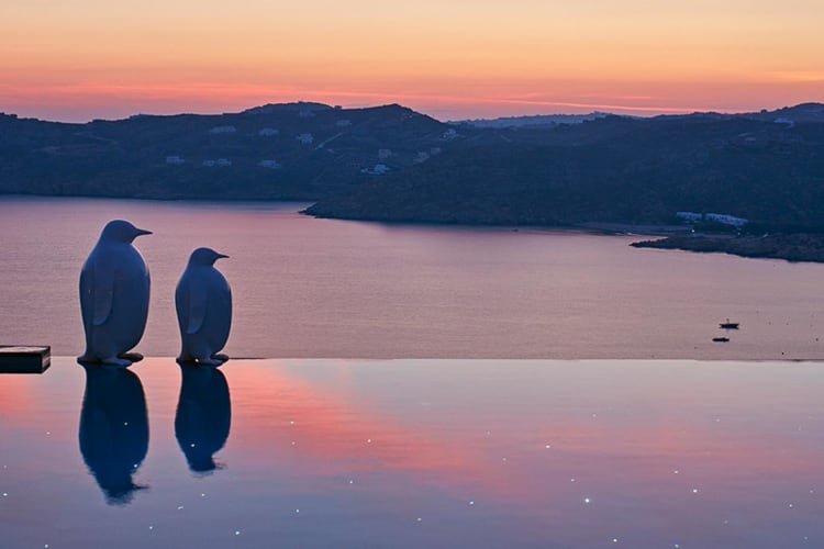Poolside penguins with sunset